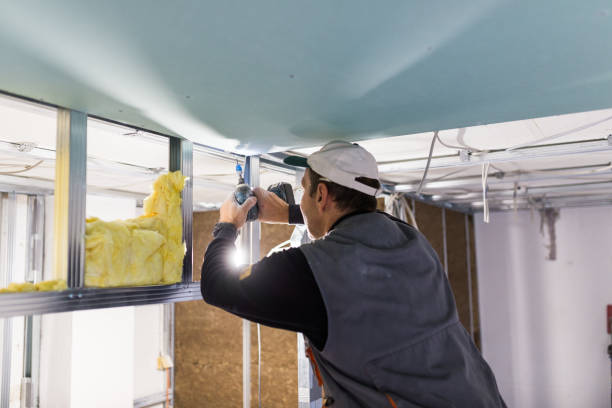 Best Geographic-Specific Insulation Services in Grand Bay, AL