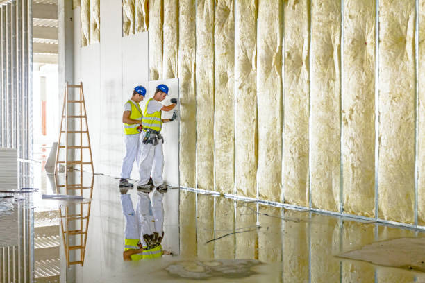 Types of Insulation We Offer in Grand Bay, AL